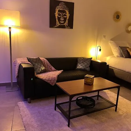 Apartment Appart&spa Republique *